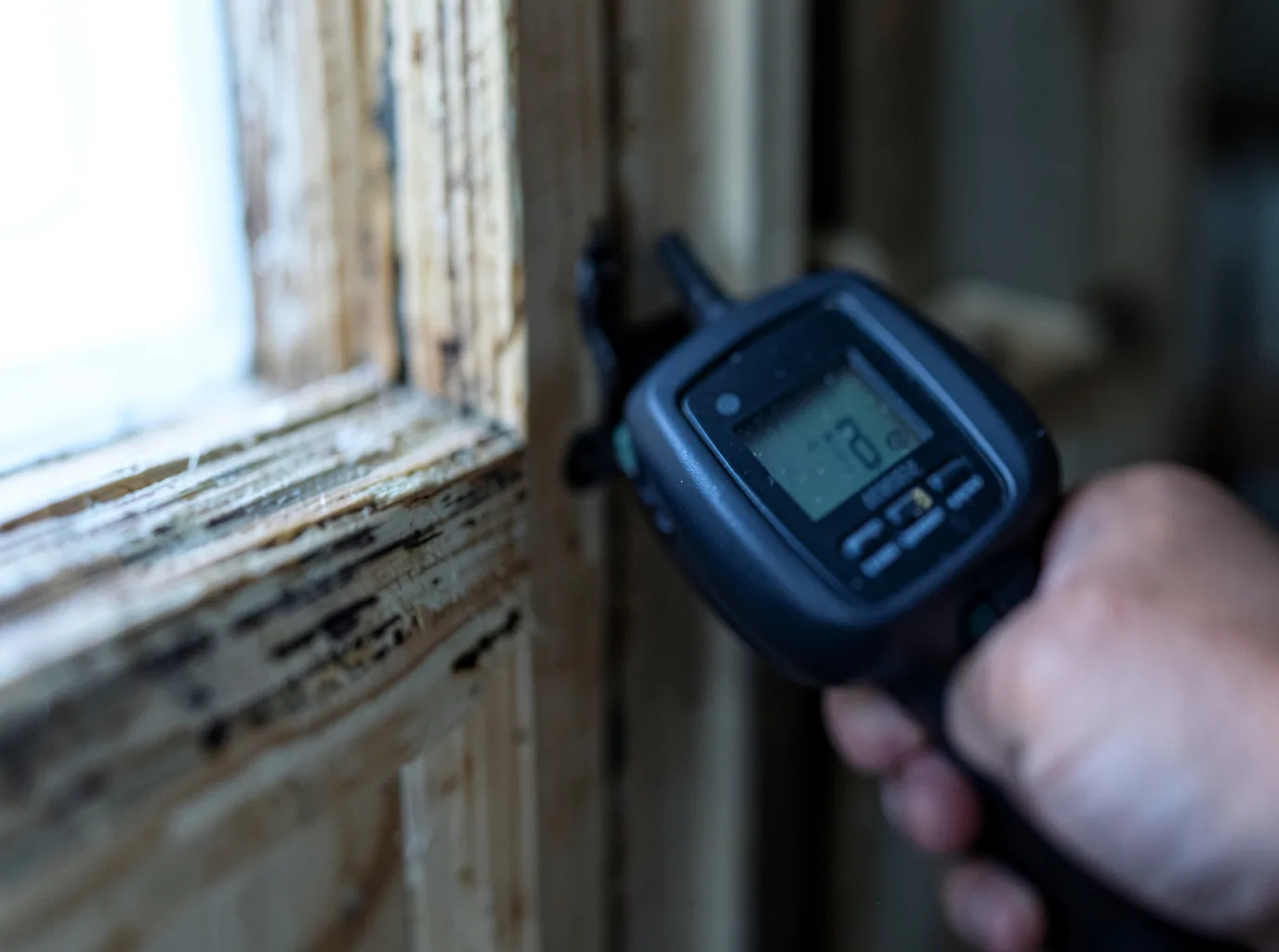 Ceiling Water Damage Repair in Greenbank, WA